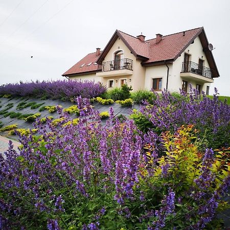 Apartamenty, Zielone Wzgorze Wiktora W Mikolajkach Mikołajki Exterior foto