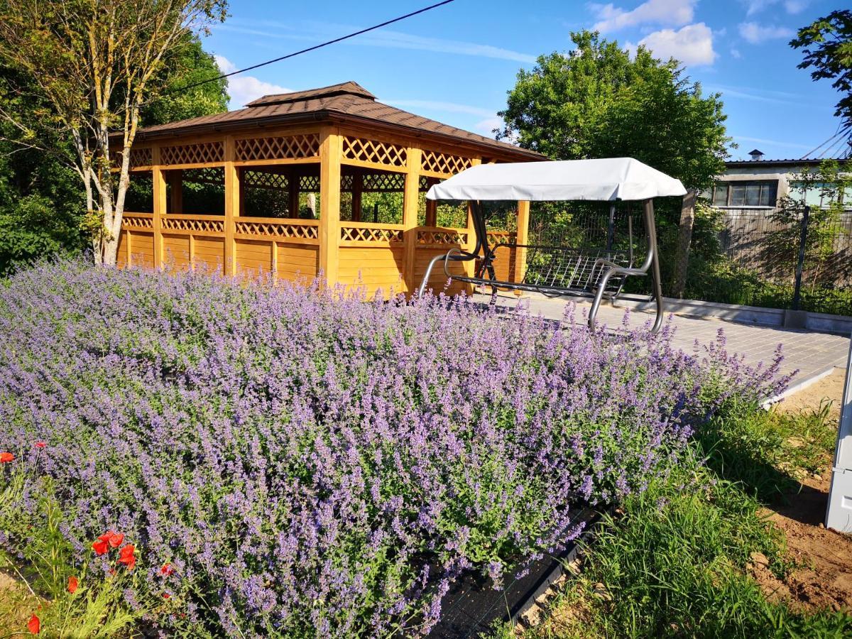 Apartamenty, Zielone Wzgorze Wiktora W Mikolajkach Mikołajki Exterior foto